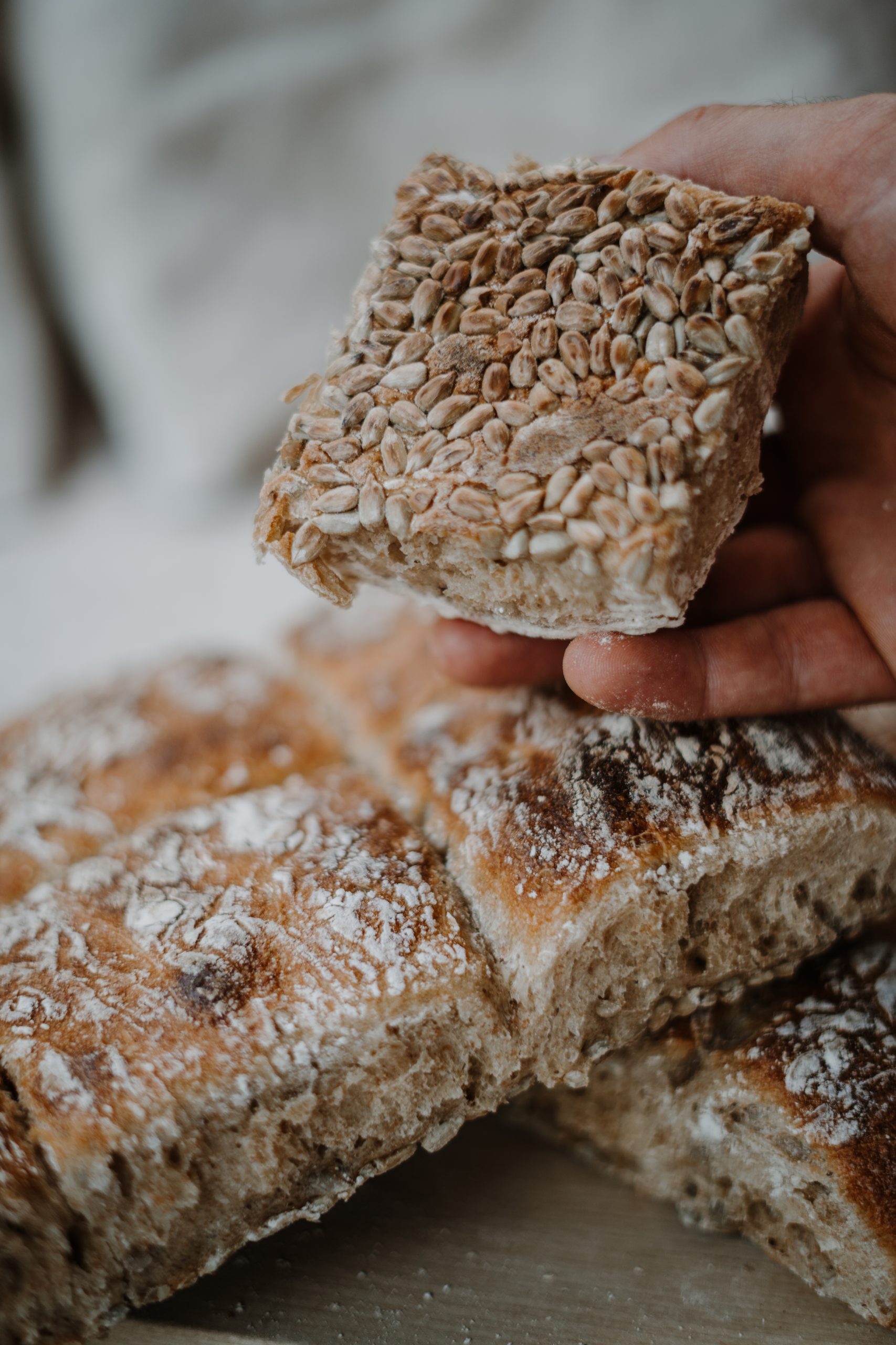 Vollkorn Sonnenblumenkernbrot Aus Der Dose — Rezepte Suchen